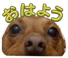 678684230