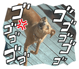 678684232