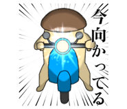 678686587