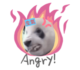 678689360