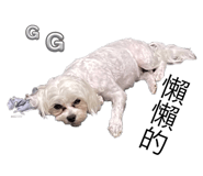 678697699