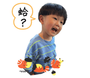 678716735