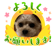 678717935