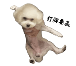 678719379