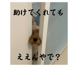 678729549