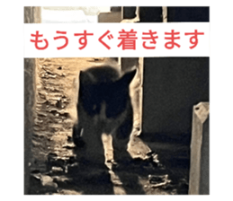 678753926