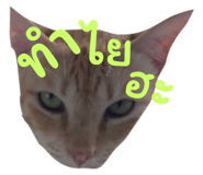 678785163