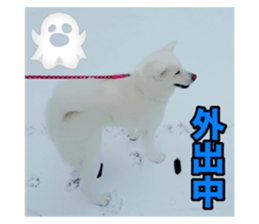 678840539