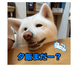 678840543