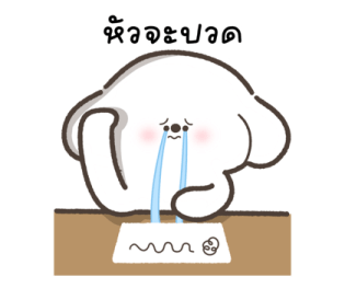 น้องหมาสีขาว ขยันทำงาน รูปที่ 21
