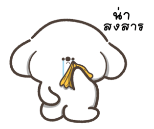 น้องหมาสีขาว ขยันทำงาน รูปที่ 22