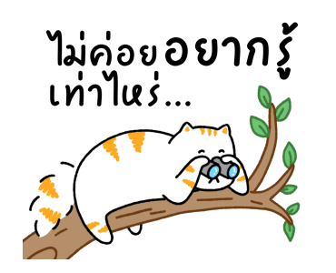 Salmon Cat V.1 รูปที่ 2