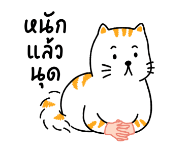 Salmon Cat V.1 รูปที่ 7