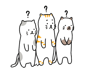 Salmon Cat V.1 รูปที่ 12