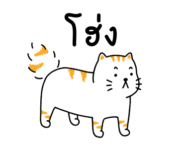 Salmon Cat V.1 รูปที่ 13