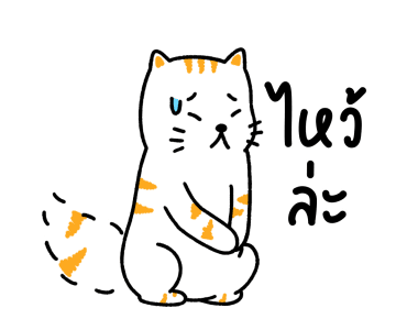 Salmon Cat V.1 รูปที่ 15