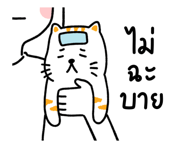 Salmon Cat V.1 รูปที่ 20