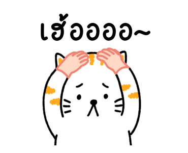Salmon Cat V.1 รูปที่ 21
