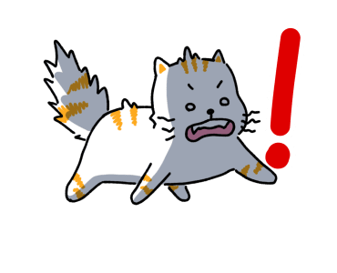Salmon Cat V.1 รูปที่ 24