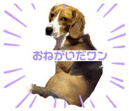 678943819