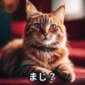 678943953