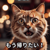 678943960