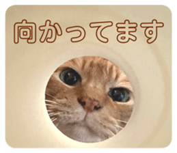 678957766