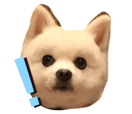 678991290