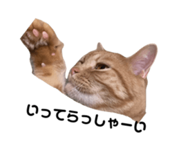 679069693
