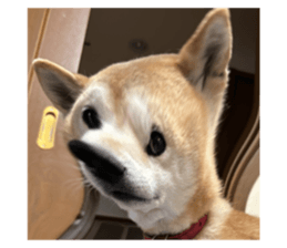 679136750