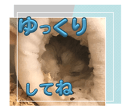 679151615