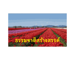 679156721