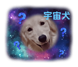 679181333