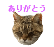 679183014