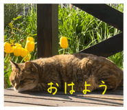 679183016