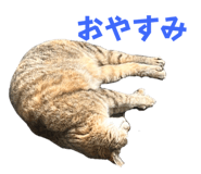 679183017