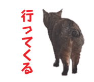 679183019