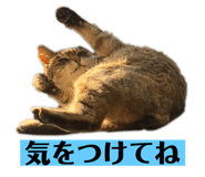 679183020