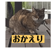 679183022