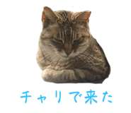 679183026