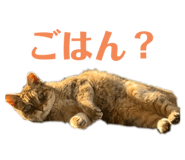 679183028