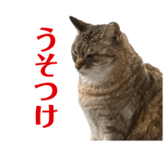 679183034