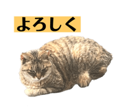 679183035