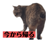 679183036