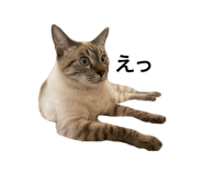 679215792