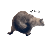 679215820