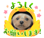 679225391