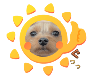 679225404