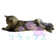 679236037