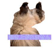 679236040